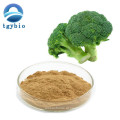 TGY Supply Natural Broccoli Extract Sulforaphane Powder 1%